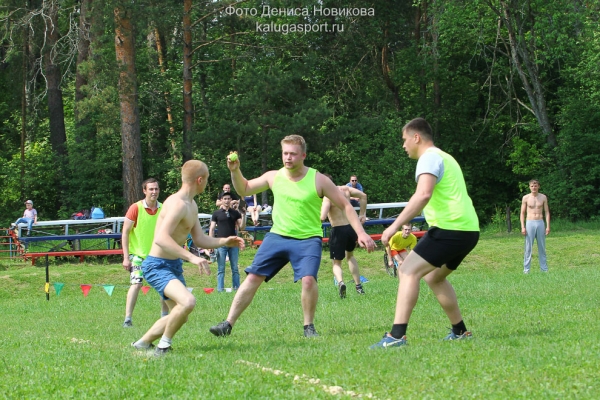 pic_38